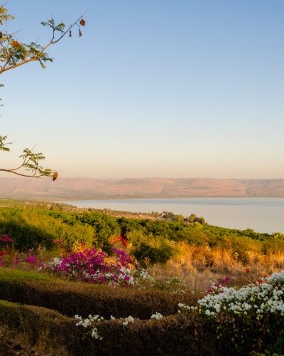 View of Galilee Sea. Golan Heights. Lovely landscape with scenic sky and warm colors.